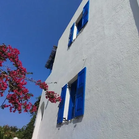 Elia - Amorgos - Near The Sea شقة