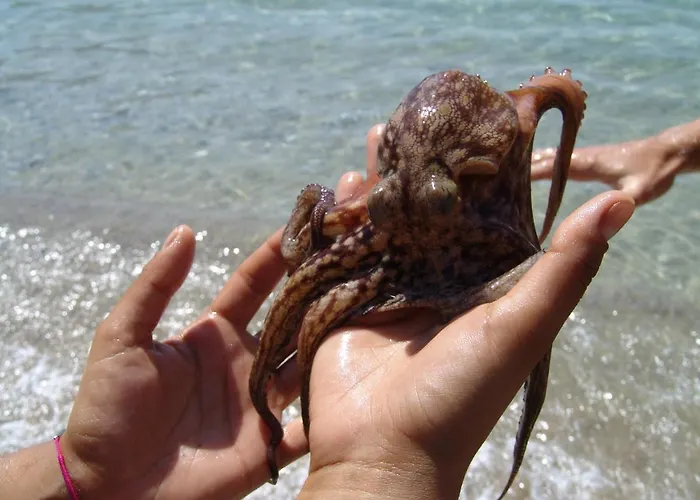 Appartement Elia - Amorgos - Near The Sea *